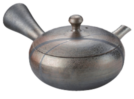 Tohohiro Kyusu Linien