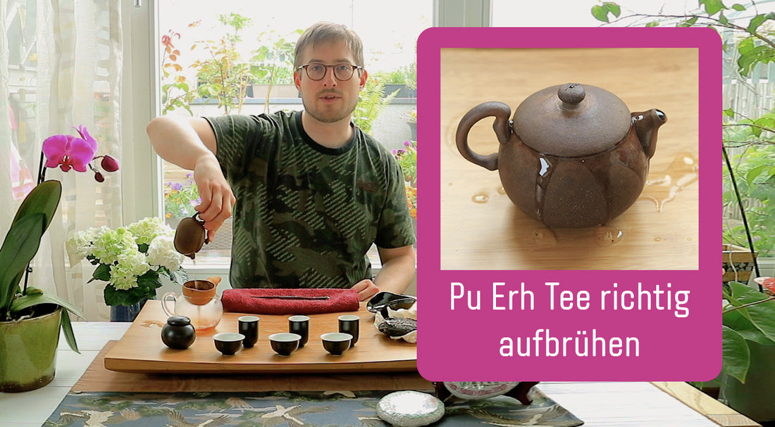 Pu Erh Tee richtig aufbrühen