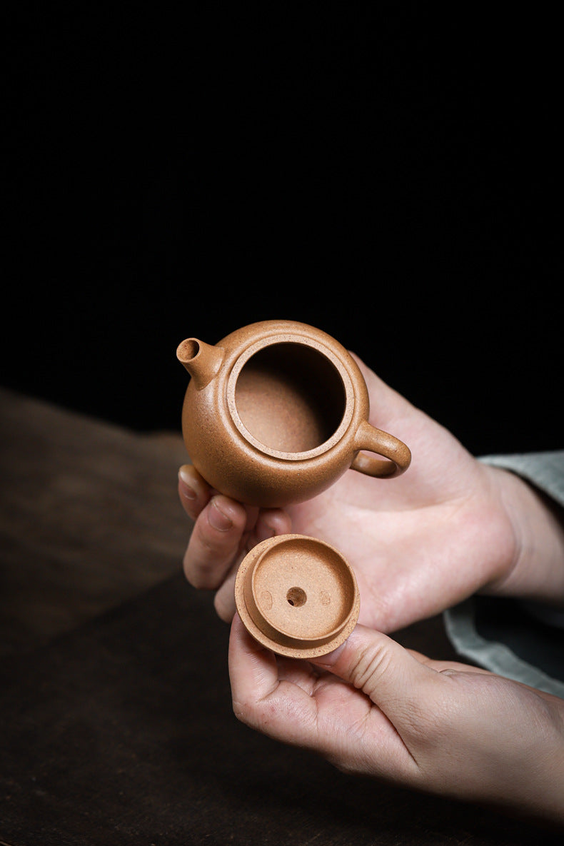 Julunzhu Duan Ni 100ml