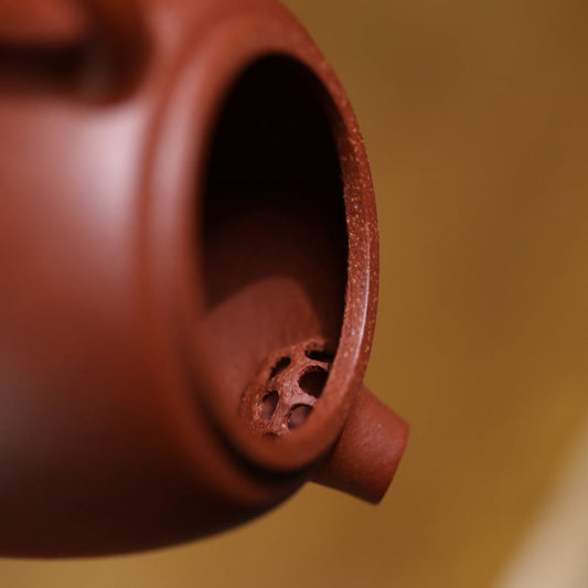 Julunzhu Hong Ni 100ml